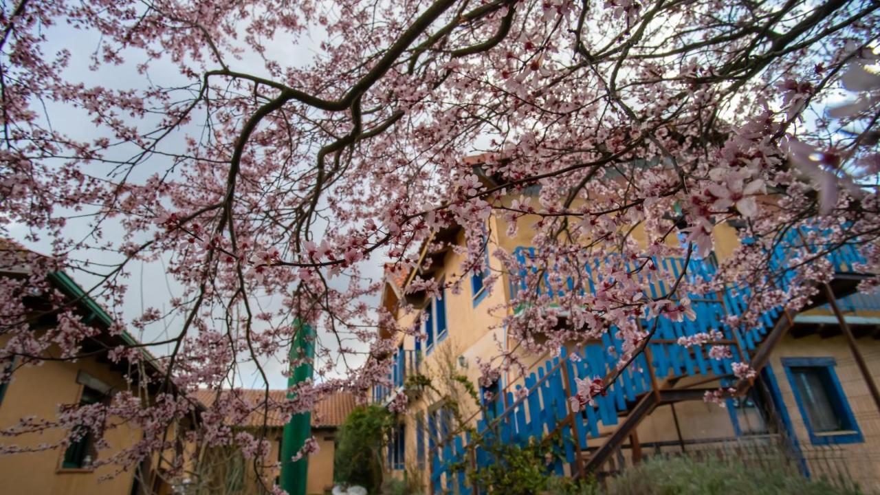 Albergue De Peregrinos Casa Flor Murias de Rechivaldo Eksteriør bilde